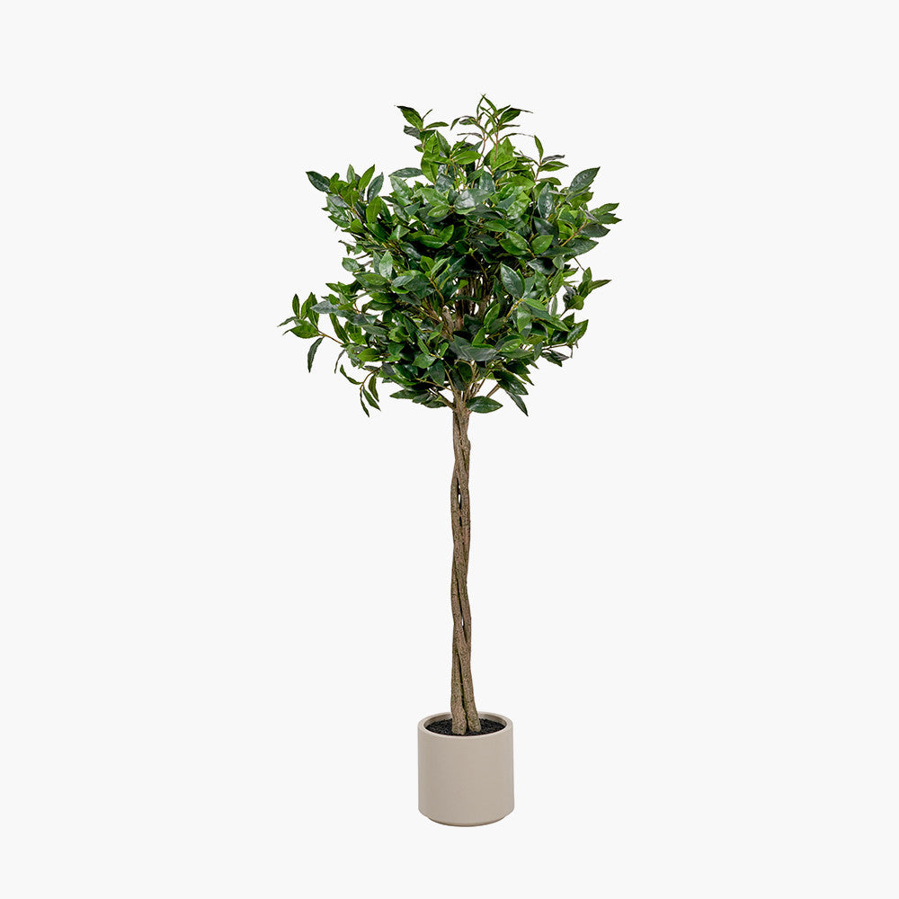 Artificial Bay Tree in Pot | Medium